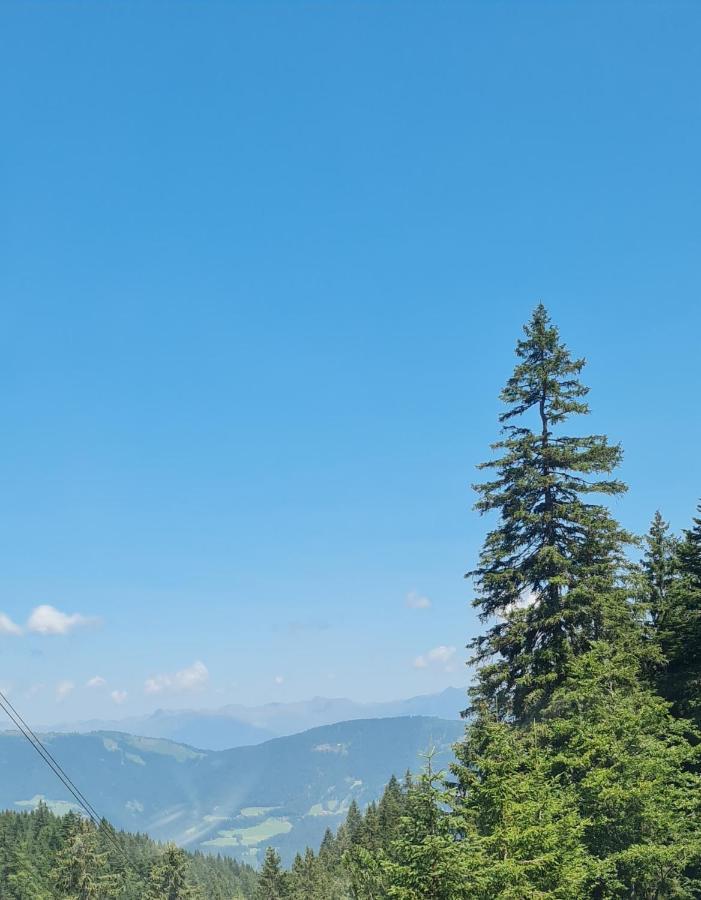 Ferienwohnung Salburg,Troepolach Εξωτερικό φωτογραφία